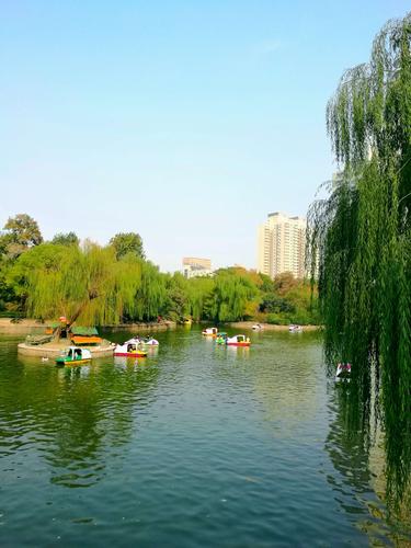 2018年秋季最后一个周日,郑州人民公园游记.