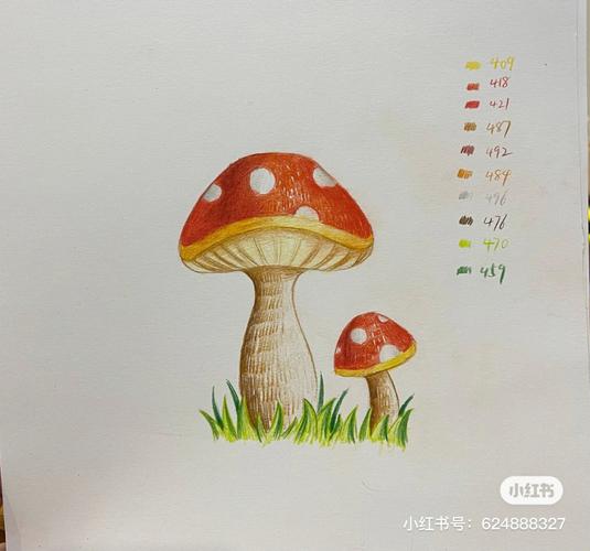 彩铅零基础第八课蘑菇