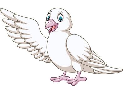 卡通可爱鸽子的矢量插图照片