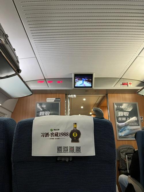 1月29日,西安回汉中,高铁出站自由行