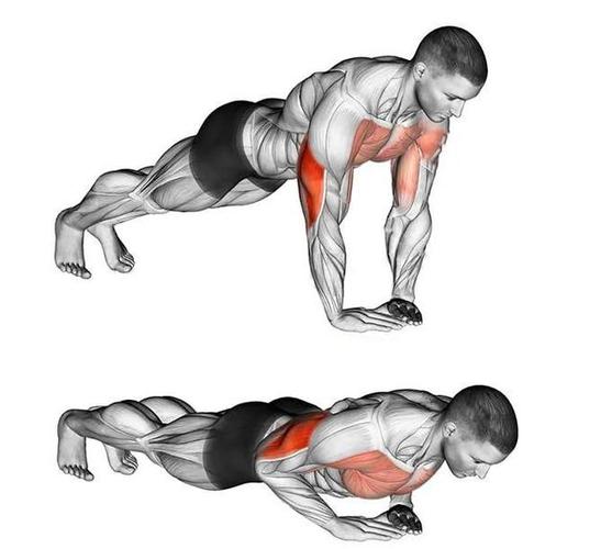菱形俯卧撑 缩小双手间距后,则会将训练重心主要集中于手臂肱三头