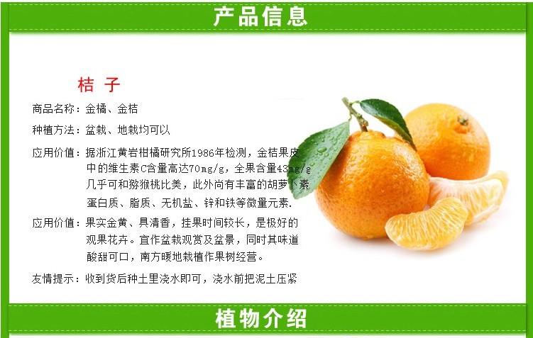青皮(橘子的幼果或未成熟果实的果皮):那些看起来就觉得很酸的青橘