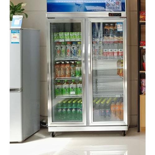 星星(xingx)lsc-500k 500升两门饮料柜立式双门展示柜两门冷藏陈列柜