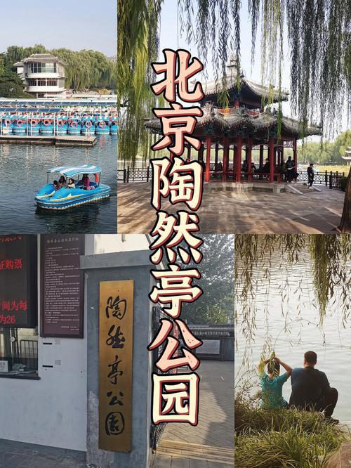 北京陶然亭公园推荐这个小众又宝藏的公园