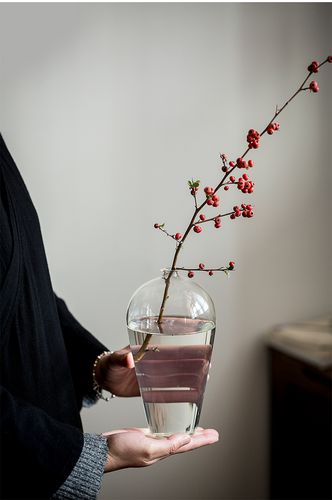 梅瓶玻璃花器透明插花花瓶禅意摆件 日式迷你小水培 水养花艺干花