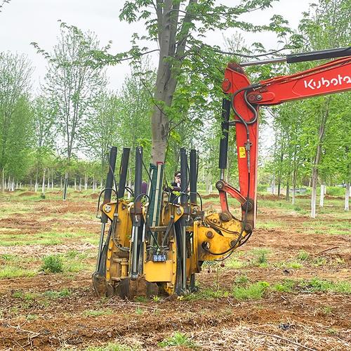 新型液压移树机 园林四瓣式挖树机 小型挖掘起树机铲树机