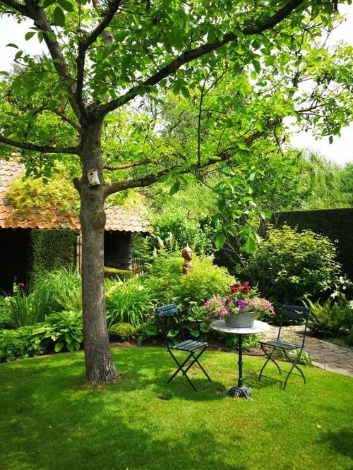 隐藏在后院的秘境花园比利时花园之旅