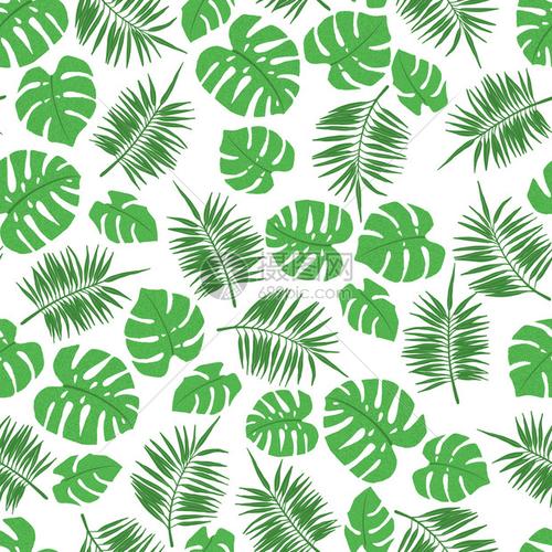 热带无缝图案包括棕榈叶和怪物织纺品壁纸剪布或其他设计元素矢量图例