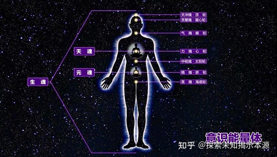 七魄,位于人体中轴线上的七个脉轮中心,分别主宰着不同级别的情志