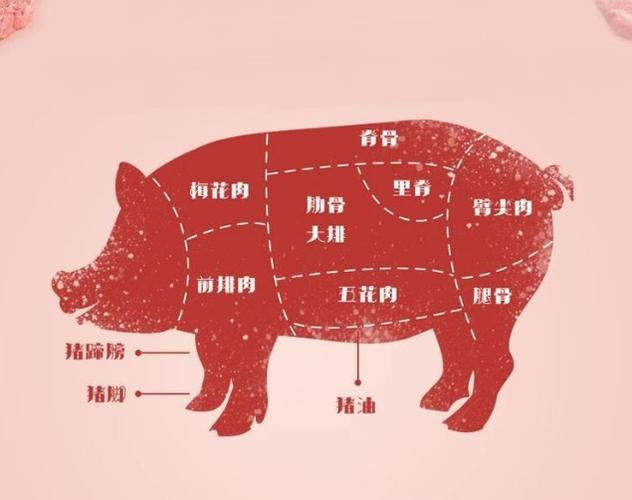 一图看懂猪身上哪块肉最好最健康,最不健康的部位令人万万没想到