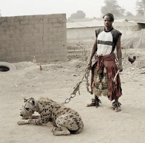 尼日利亚鬣狗人的故事20052007