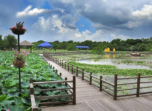 广州最大的湿地公园,风景优美是候鸟的天堂
