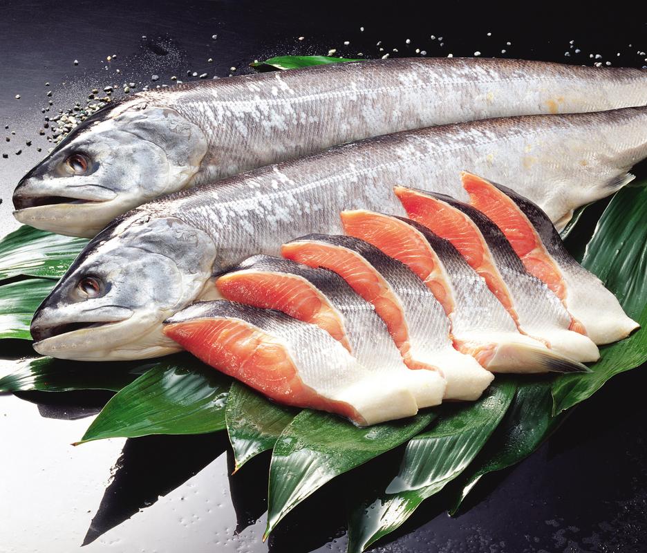 三文鱼是大西洋鲑鱼的一种,是一种候鸟性鱼类,在海洋中生长并在淡水