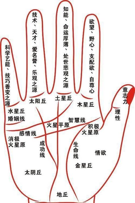 一条两条或三条直纹在在手掌掌侧,乾兑位处,向掌心边上延伸.