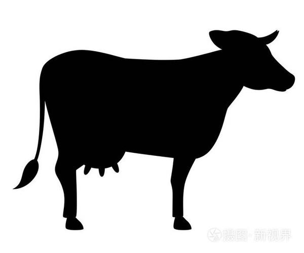 黑色的轮廓可爱的牛农场家畜扁平风格的动物设计在白色背景上隔离的