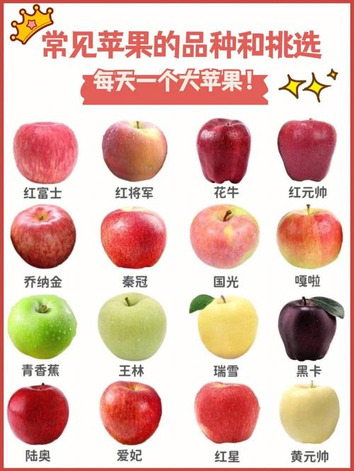 大全常见苹果的品种介绍60附挑选