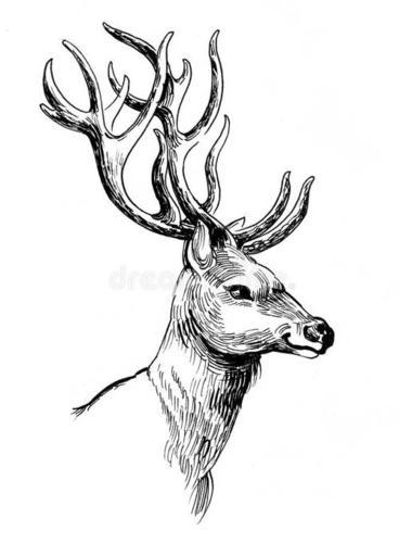 小动物简笔画图片刺猬简笔画小动物简笔画侧面鹿头的简笔画小动物简笔