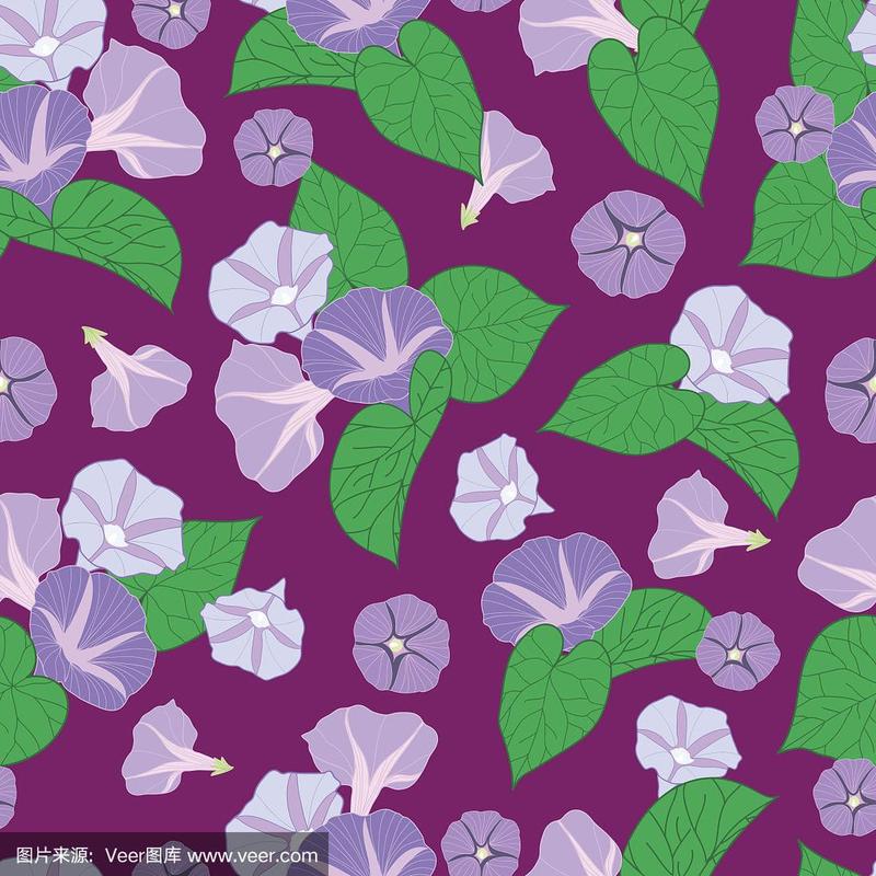 无缝牵牛花图案在紫色的背景