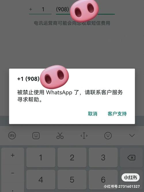 whatsapp被禁止使用后如何解封