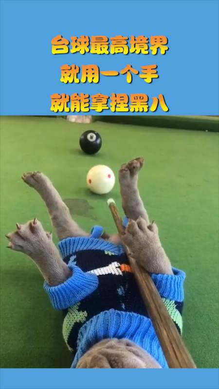 搞笑视频#台球最高境界,就用一只手,就能拿捏黑八!
