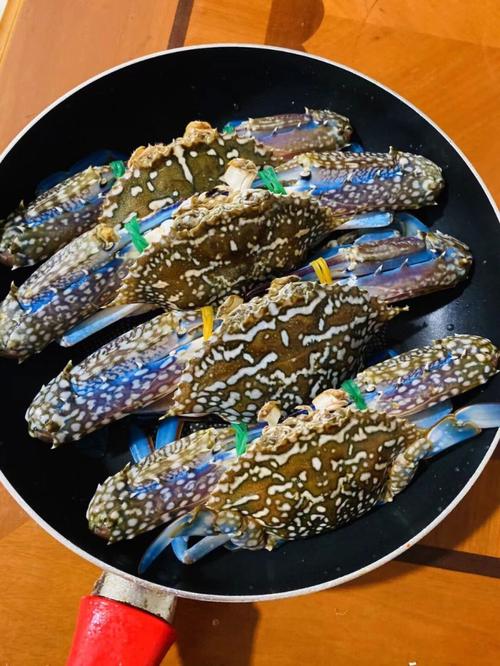 东山岛海鲜活青脚蟹也称为兰花蟹,蟹母,清蒸爆炒壳薄肉质细嫩好吃