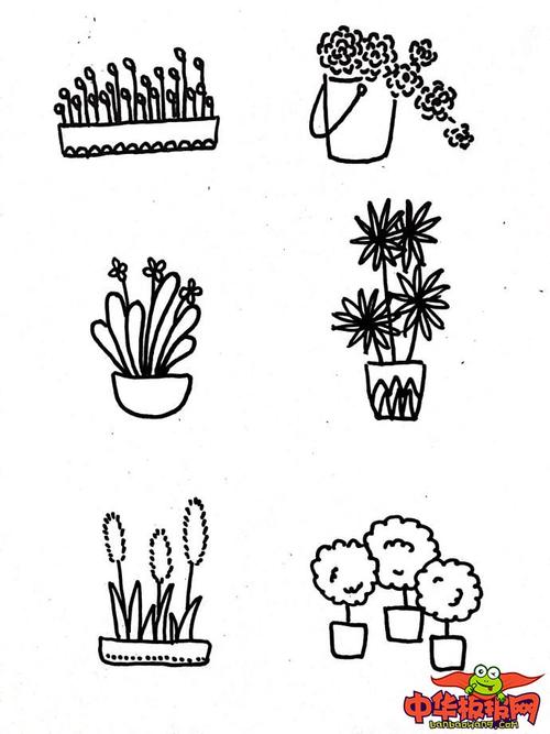 幼儿植物简笔画大全,各种盆栽植物简笔画