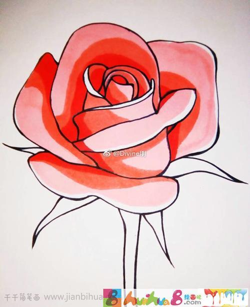 玫瑰花画法简笔画玫瑰花画法简笔画色彩
