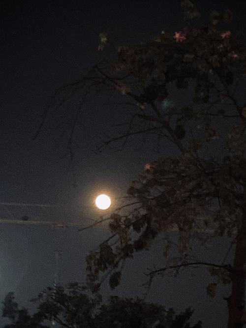 今晚月亮真好看