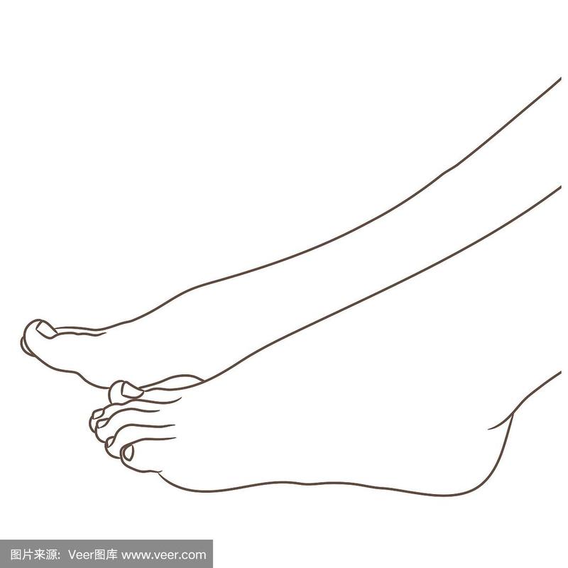女性双腿赤脚,侧视.矢量插图,手绘卡通风格孤立的白色,黑白轮廓