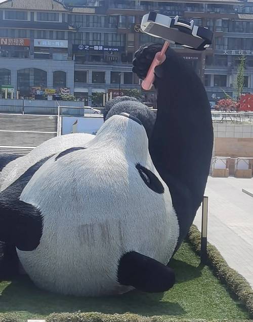 来都江堰和世界最大的熊猫玩自拍了_成都_广场_公园