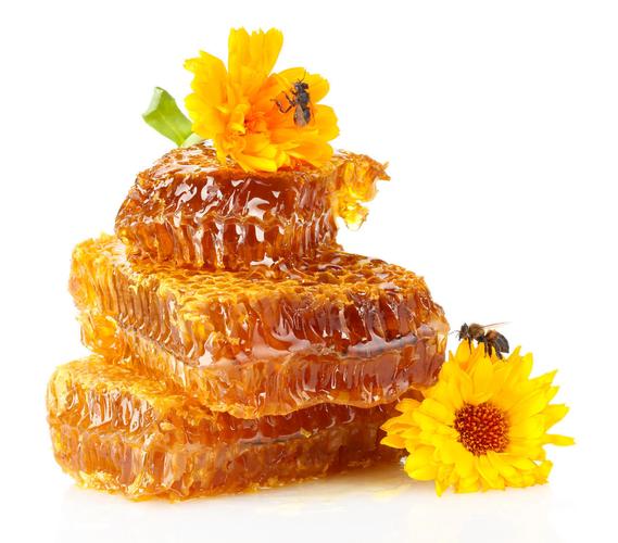 蜂蜜蜜蜂和花朵