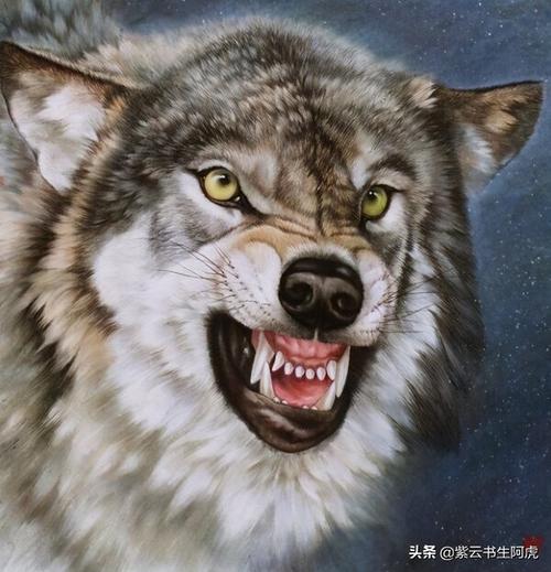 中国狼是保护动物吗,狼是什么动物