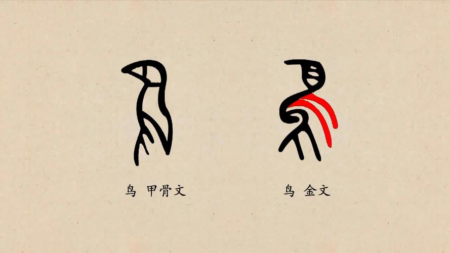 金文的鸟字在甲骨文基础上向右画出两条曲线表示翅膀,比甲骨文更像鸟.