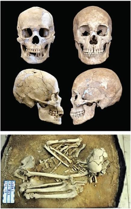 台湾古人类化石的发现及其学术意义 - 神秘的地球 科学|自然|地理