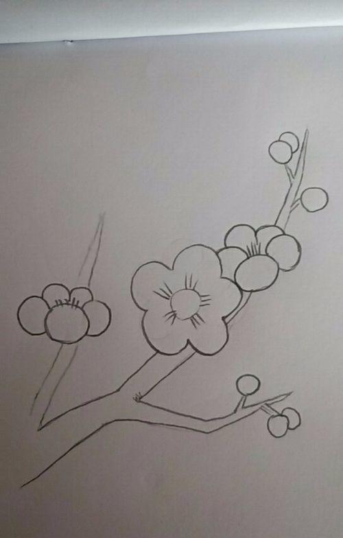 简笔画一枝梅花的画法