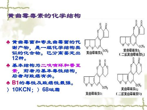 黄曲霉毒素的化学结构   黄曲霉菌和寄生曲霉菌的代 谢产物,是一组