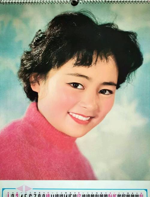 1982年女演员挂历,80年代的美女演员张瑜,林芳兵,王馥荔_封面_银幕