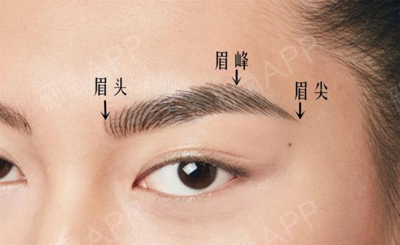 (3)眉梢微斜向下,末端与眉头水平,鼻翼与外眼角连线的延长线交于眉 
