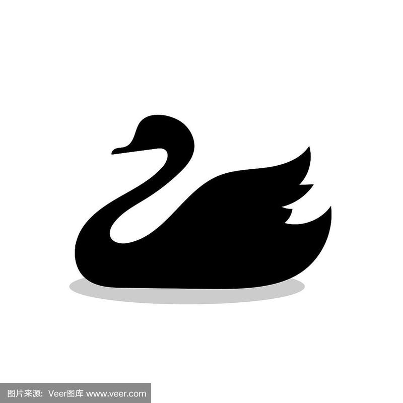 天鹅鸟黑色的剪影动物