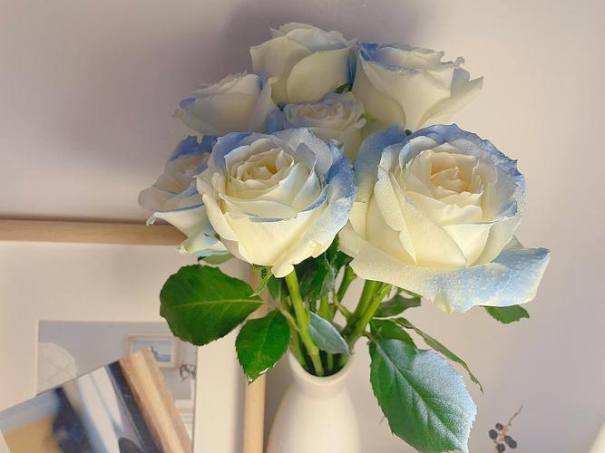 今天生日,收到的一束玫瑰花,蓝白是真的好看,可惜颜色是喷上去的.