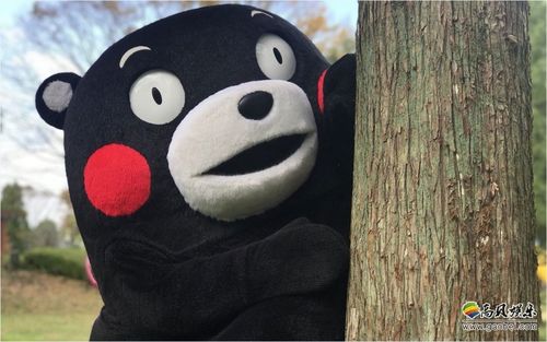 日本熊本县成功打造熊本熊ip"趁热打铁"推出系列动画
