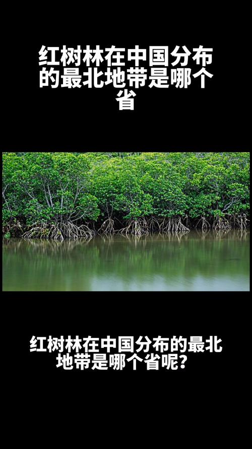 红树林在中国分布的最北地带是什么省