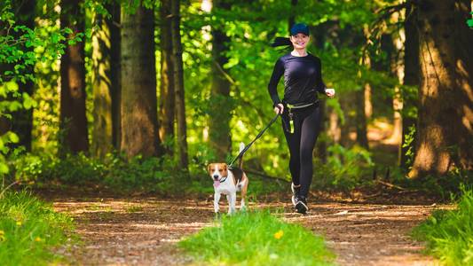 春天阳光明媚的一天,运动女孩正和一只小狗小猎犬在森林小路上奔跑.