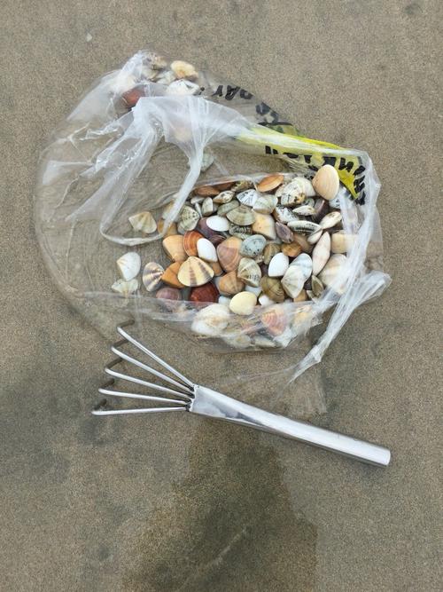 赶海工具耙海边沙滩筢抓螃蟹不锈钢铲子挖蛤蜊套装贝壳园艺工具耙