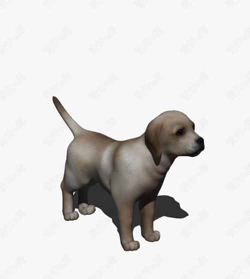 小狗动物3d高清模型-sketchup动物模型-设计e周素材