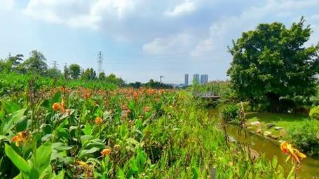 广州天河大观湿地公园怎样去