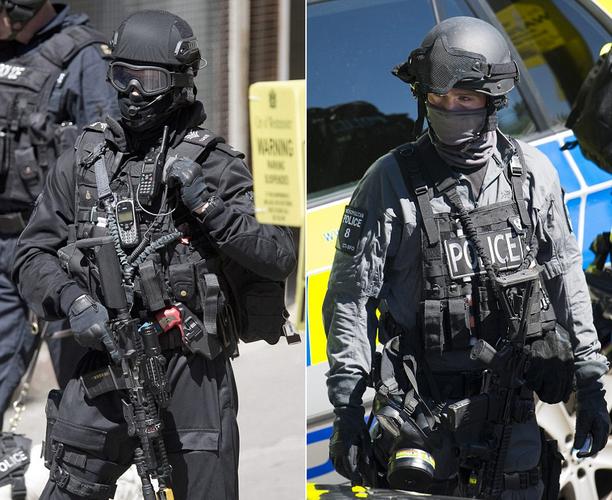 据称一支由英国伦敦警察厅特别组建的警察部队也参与了本次演习