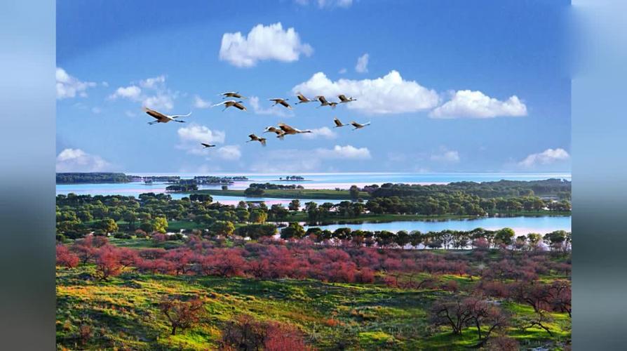风景美图赏析:通榆县向海国家级自然保护区