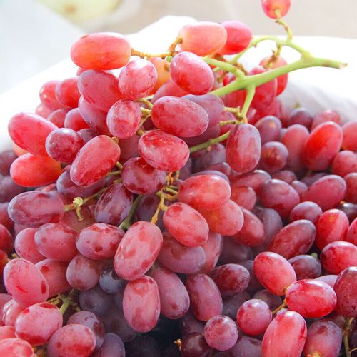红宝石无籽红提2斤新鲜水果脆甜红葡萄红宝石提子水果当季 红提2斤