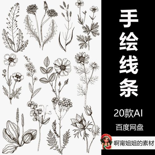 手绘黑白线条植物花卉插画简笔画ai源文件设计素材新品